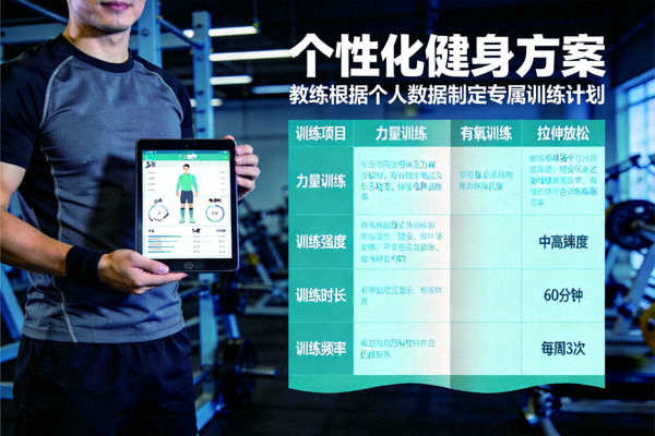 个性化健身方案 - 教练根据个人数据制定专属训练计划