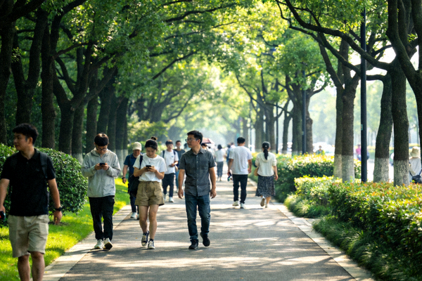 城市绿道上的徒步人群 - 树荫下的休闲步行路线